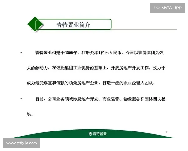 稳健发展地产企业的成功秘诀与策略分析探索
